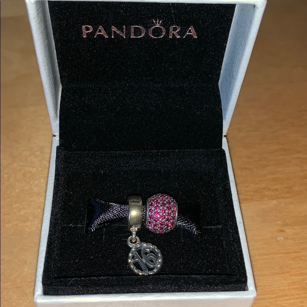 16 charm and ruby charm